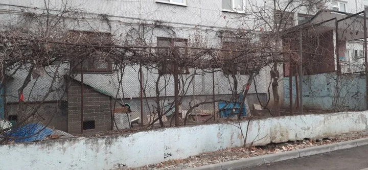 Владикавказ: Квартира Уютная Квартира в Районе Автовокзала