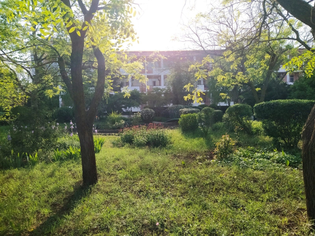Заозерное: Severnyj