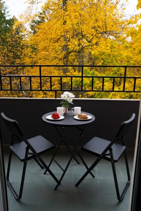 Светлогорск: Apartments Malina (Апартментс Малина) на улице Ленина 36
