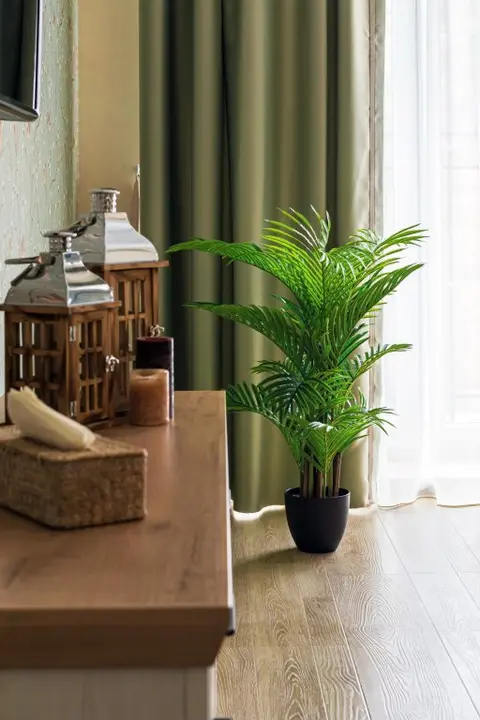 Светлогорск: Apartments Malina (Апартментс Малина) на улице Ленина 36