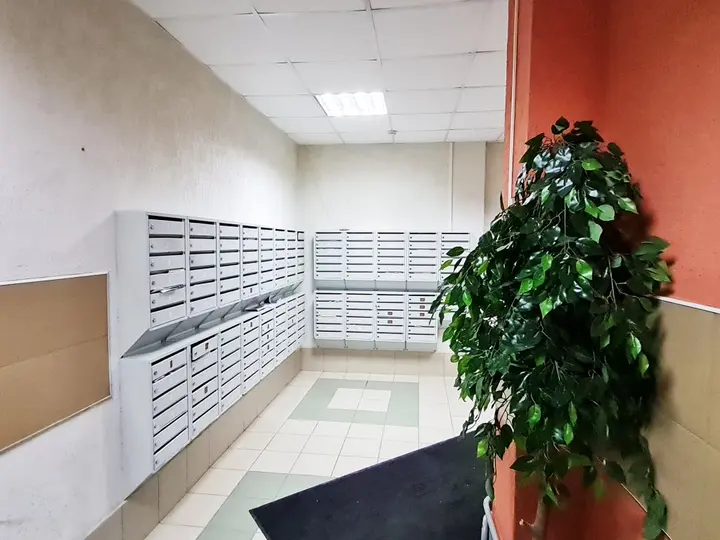 Новосибирск: Апартаменты Яркая Поляна одуванчиков