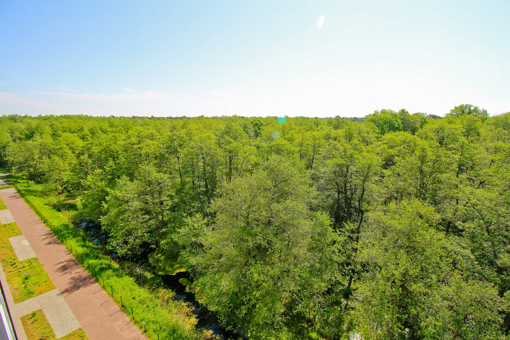 Зеленоградск: Апартаменты Greenwoods
