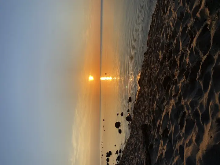 Зеленоградск: Апартаменты Sunset