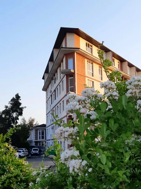 Сириус: Апартаменты Sirius Eco Lodge Apart