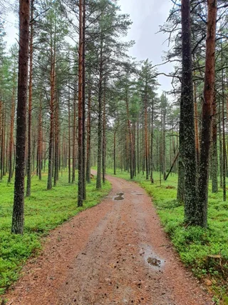 Алекка: Tourist Center Alekka
