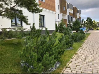 Иннополис: Квартира в IT городе Innopolis