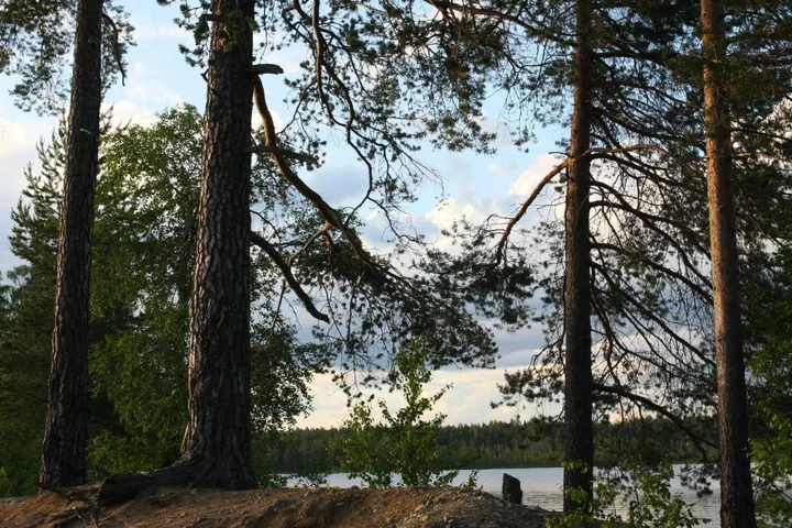 Костомукша: Отель Подкова