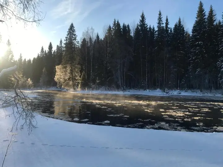 Дом на берегу с сауной — фото 3
