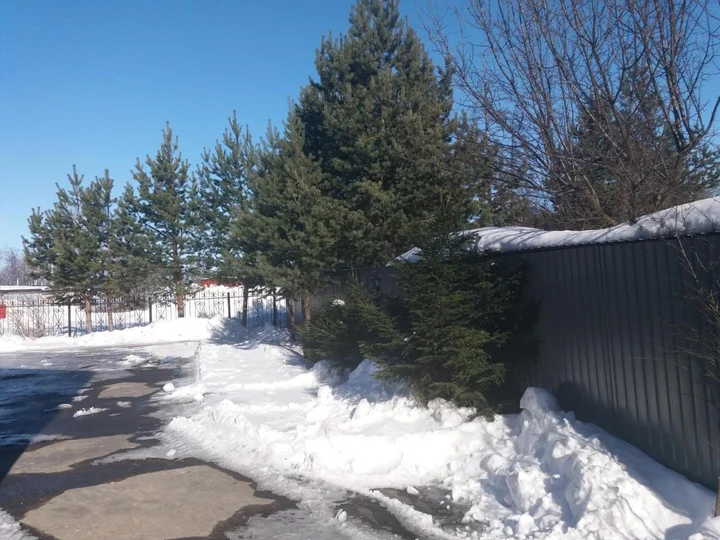 Петрозаводск: Guesthouse Vernisage