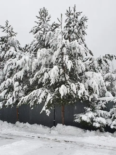 Петрозаводск: Guesthouse Vernisage