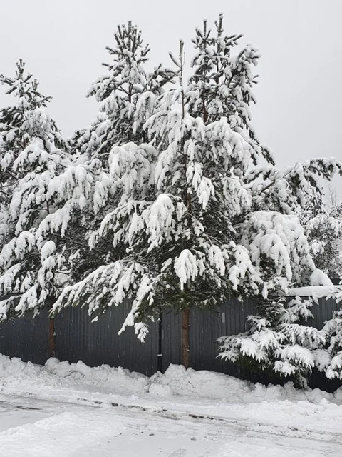 Петрозаводск: Guesthouse Vernisage
