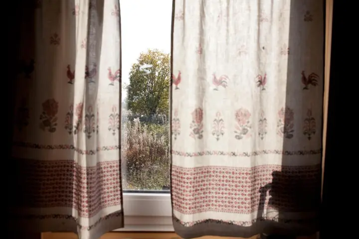 Типиницы: Guest House Za Onegu