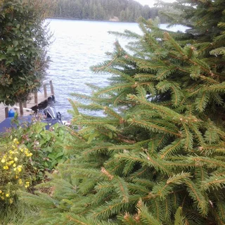 Шуйская чупа: Guest house Shuiskaya Chupa