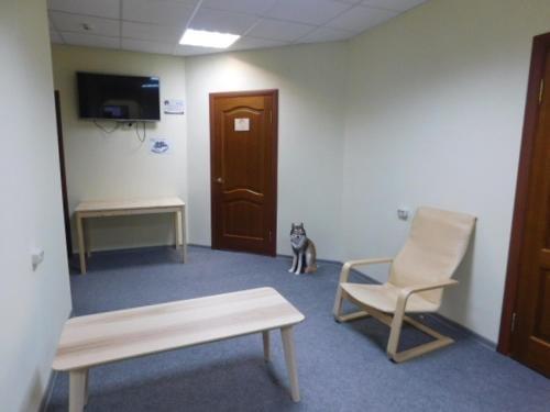 Тамбов: Hostel Tambovsky Volk