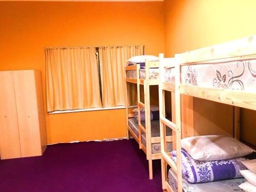 Алматы: Apelsin Hostel Almaty