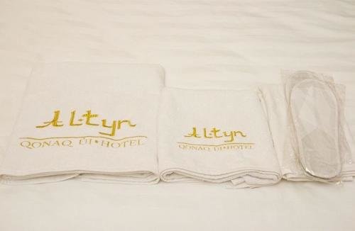 Астана: Altyn Hotel