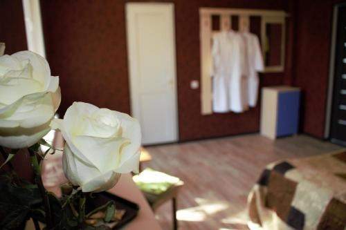 Алматы: Hotel Laguna