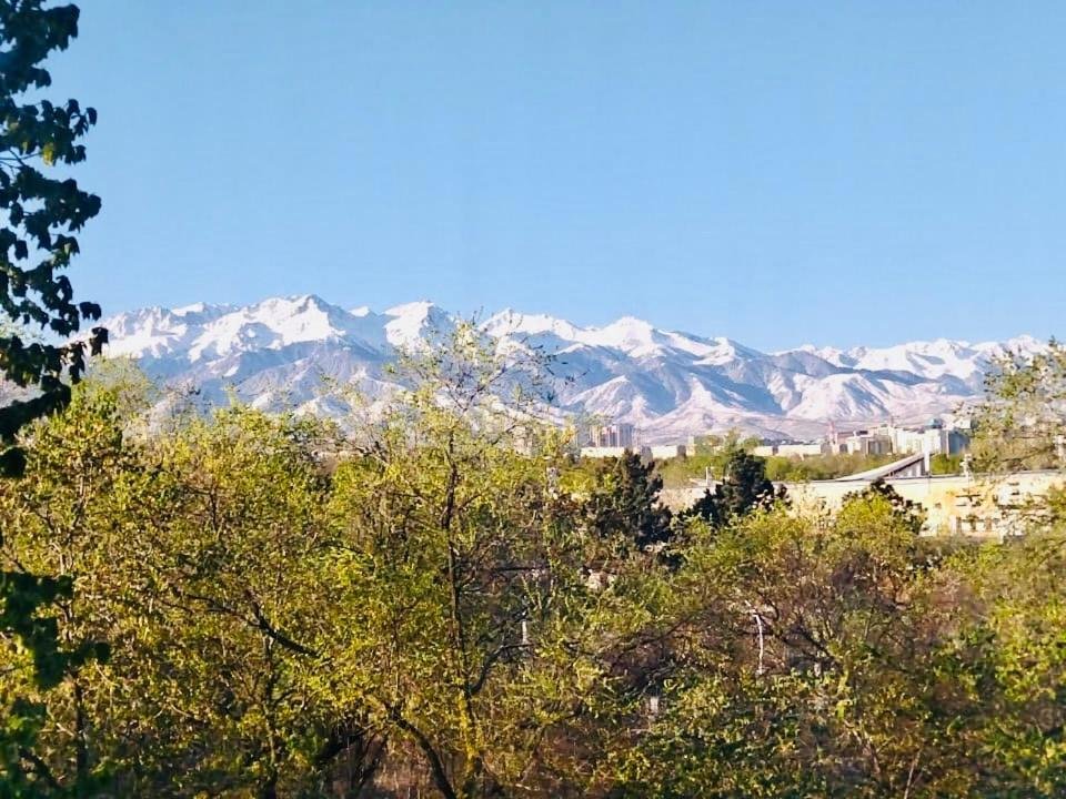 Алматы: Like Home Hostel Almaty