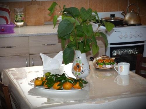 Шымкент: Eco Hostel