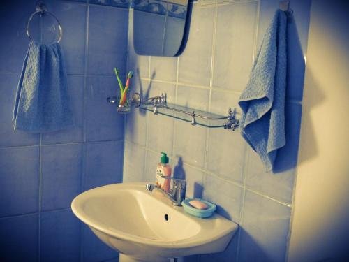 Шымкент: Eco Hostel
