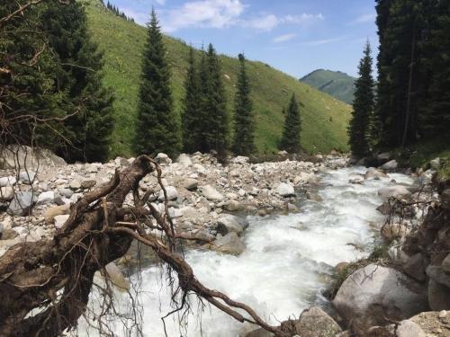 Алматы: Dobri Dom Almaty