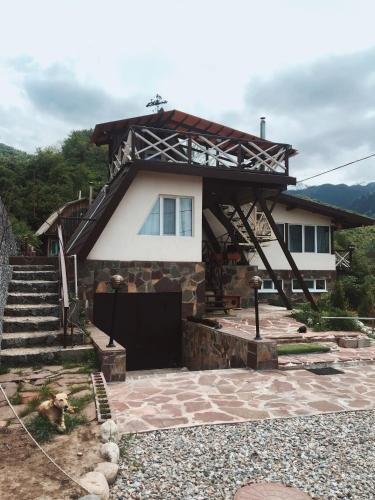 Алматы: Dobri Dom Almaty