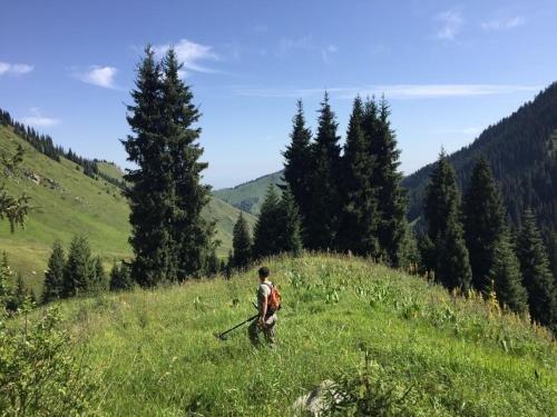 Алматы: Dobri Dom Almaty