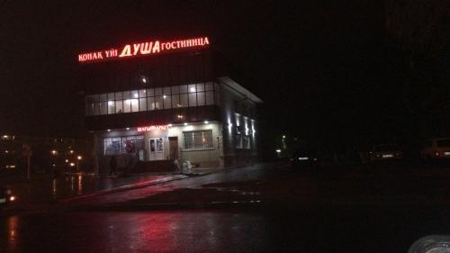 Dusha Inn — фото 2