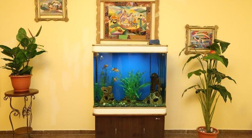 Астана: Zhassybi Hotel