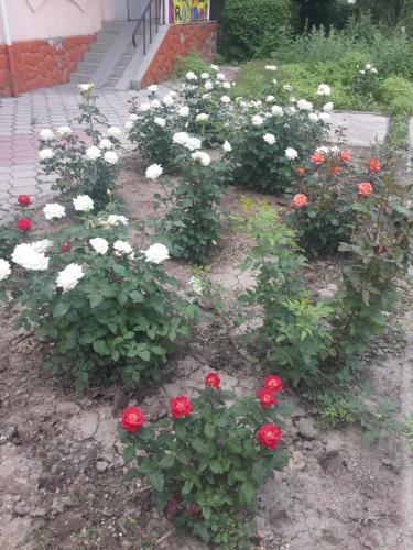 Алматы: Хостел FM Almaty