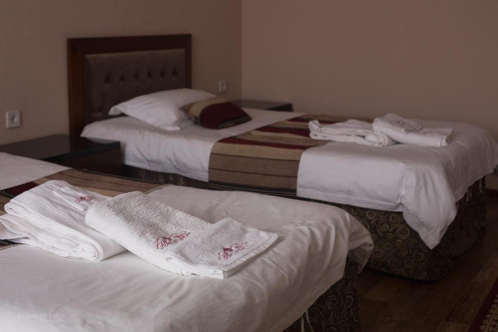 Усть-Каменогорск: Ainaline Hotel