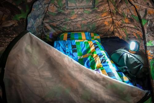 Алматы: Baza Hostel Almaty