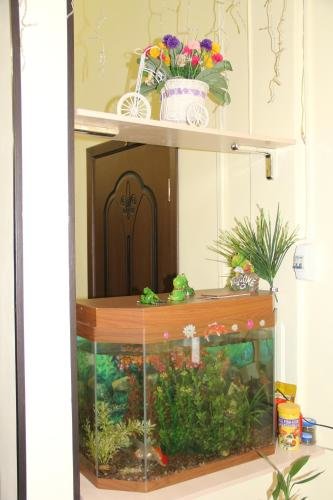 Алматы: iHostel Almaty