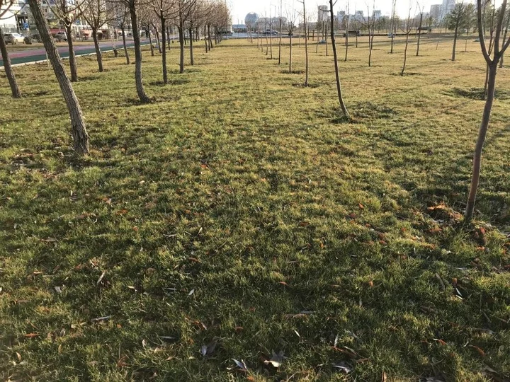 Астана: Korkem 3 near botanical garden