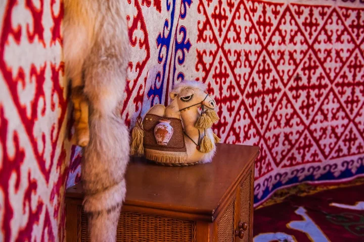 Астана: BalQaragai (Балкарагай)