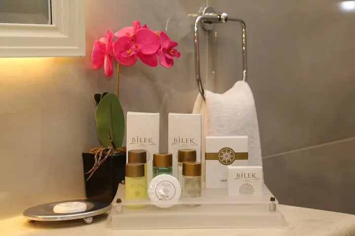 Стамбул: Bilek Istanbul Hotel
