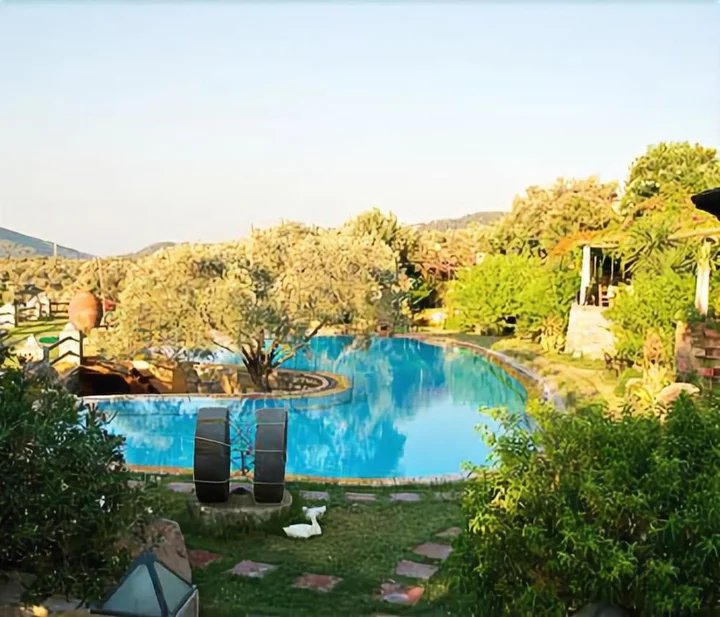 Голькой: Antik Zeytin Hotel & Art