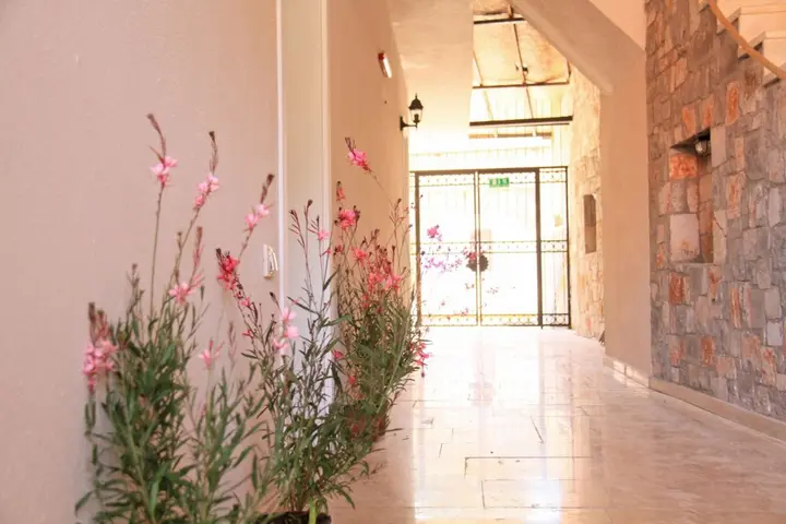 Саригерме: Lady Rose Boutique Pension