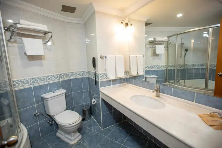 Маниса: Anemon Grand Manisa Hotel