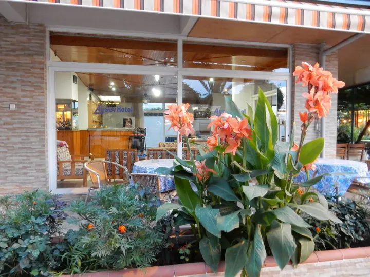 Аланья: Aysev Hotel