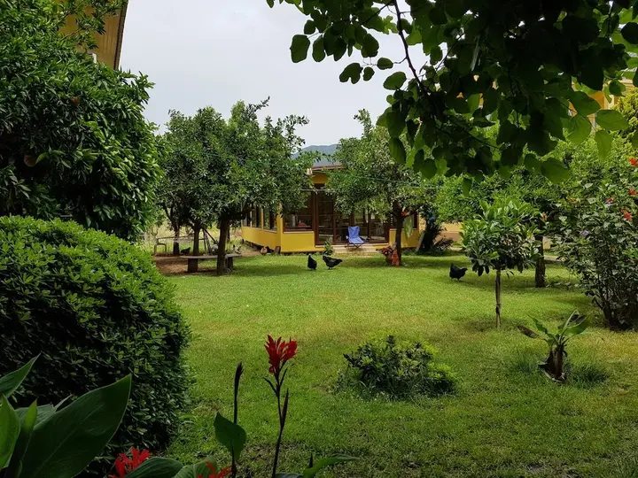 Адрасан: Hotel Narcicegi