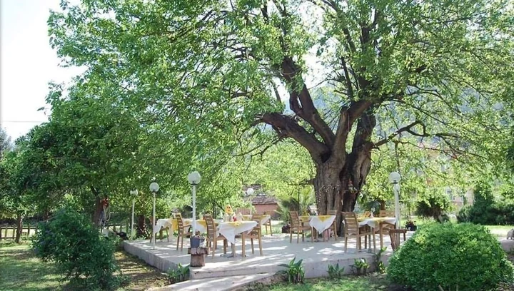 Адрасан: Hotel Narcicegi