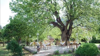 Адрасан: Hotel Narcicegi