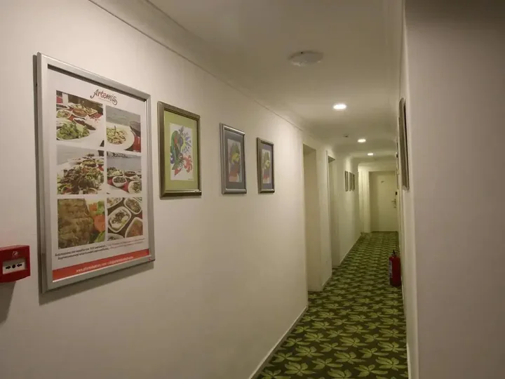 Бодрум: Artemis Hotel