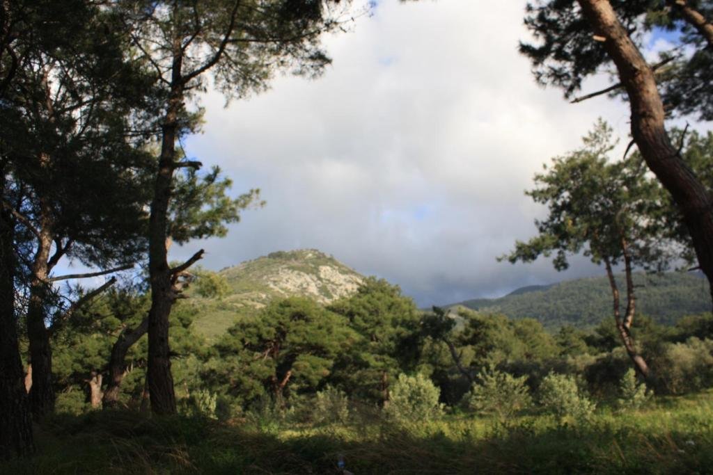 Гюзельчамлы: Samos Apart Pension