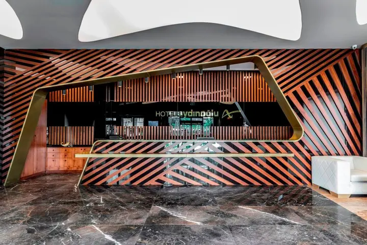 Стамбул: Aydinoglu Hotel
