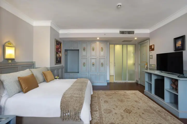 Стамбул: Erguvan Hotel - Special Class