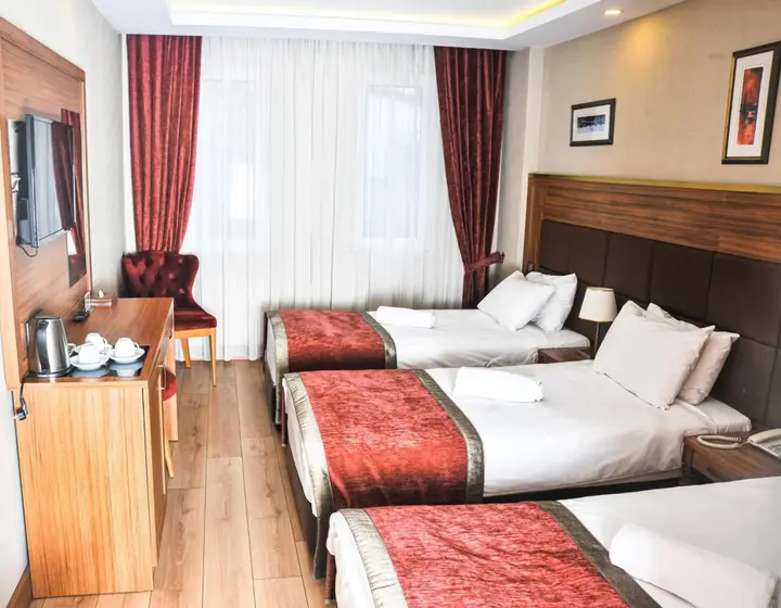 Стамбул: Erguvan Hotel - Special Class