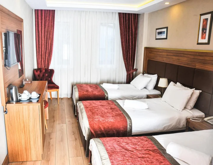Стамбул: Erguvan Hotel - Special Class