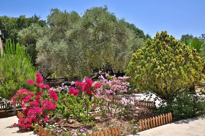 Бодрум: Bodrum Bitez BD445